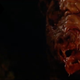 A mutant bear with no fur or skin over its face lurches out of the darkness.